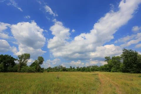 Vast green meadow under a dramatic sky with fluffy white clouds and blue ex.. 写真素材