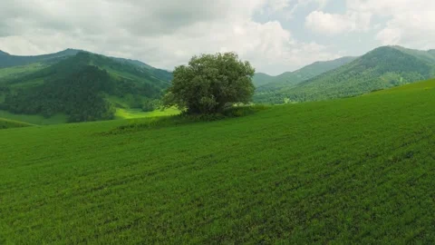 Vast green meadows stretch toward forested hills under a cloudy sky Stock Footage 334117674