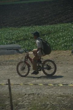 Vast of greenery fields of Java Land Stock Photos