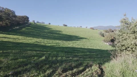 Vast hillside meadow with plowed spring farmland and forest shadows Stock Footage 328093274