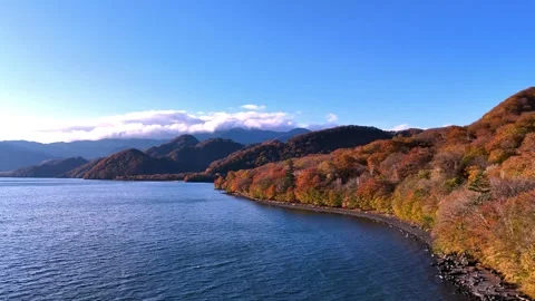 Vast Lake | Distant Mountains | Autumn Shore - 4K Aerial Video Stock Footage 329052921