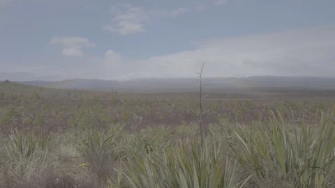 Vast Landscape 4k Video stock 124506909