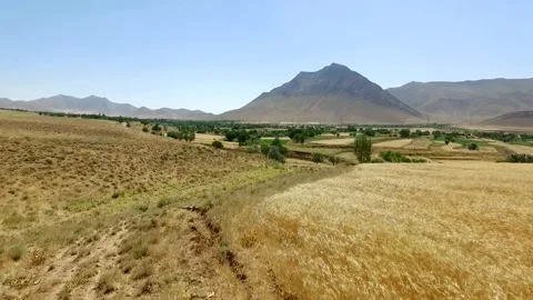 Vast landscape of golden wheat fields with a village, stock footage. Stock Footage 304934872
