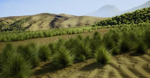 Vast landscape with grass and distant mountains at midday Stock Illustration