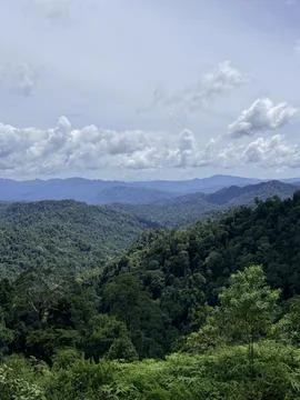 A vast landscape showing multiple layers of lush green mountains covered in t Stock Photos
