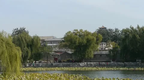 Vast lotus leaf pool in autumn beijing &amp; ancient building. 库存影片 21831670