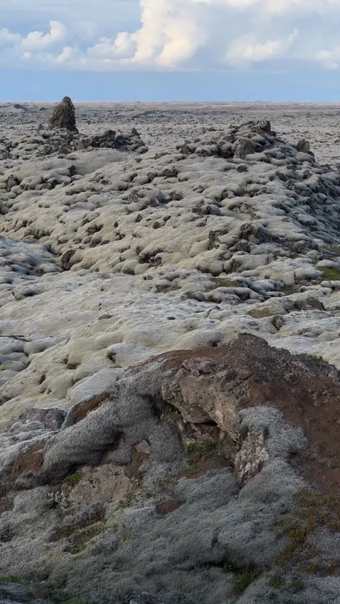 Vast moss-covered lava fields stretching to the horizon, volcanic landscape, Ice Video stock 331779076