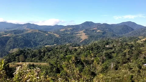 Vast Mountain Range with Clear Sky and Natural Scenery Stock-Footage 316543688
