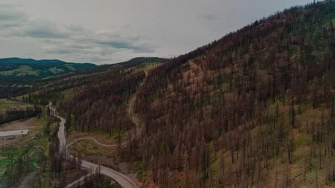 Vast Mountain Valley Winding Roads Lush Green Trees High Flying Aerial Panoramic Video stock 313737207