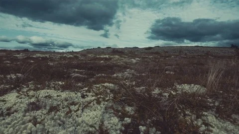 Vast mountain view in Scandinavia Stock Footage 79624106