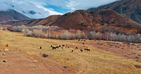 A vast, mountainous valley Stock Photos