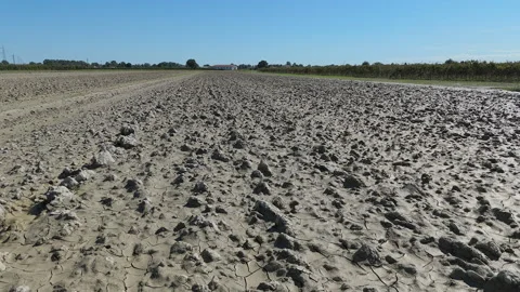 Vast Mud-covered Agricultural Fields after the Flood Stock Footage 287483892