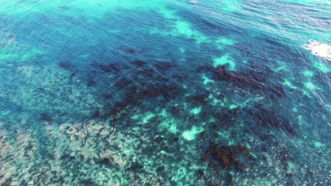 Vast ocean Stock Footage 320327620