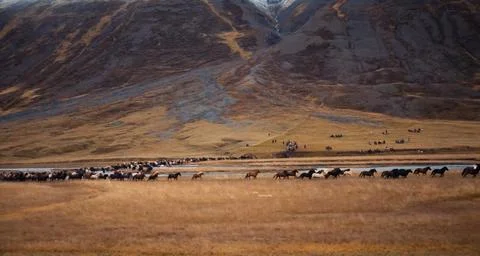 A vast, open field with a mountain range in the background. In the foreground. Stock Photos