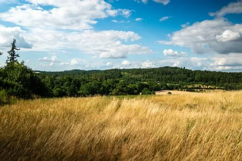 Vast panoramic view of rolling hills with forests and yellow fields under sky Фото