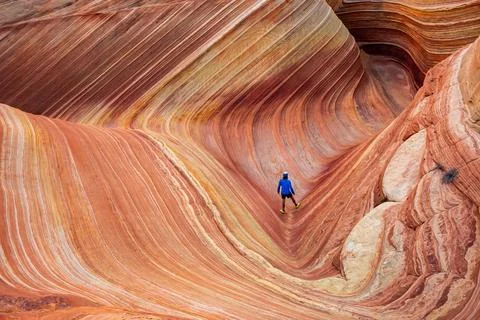 Vast Perspective of Hiker at The Wave Stock Photos