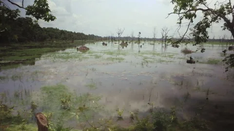 Vast plain lake with reflections of the sky cinematic 4 Stock-Footage 145247994