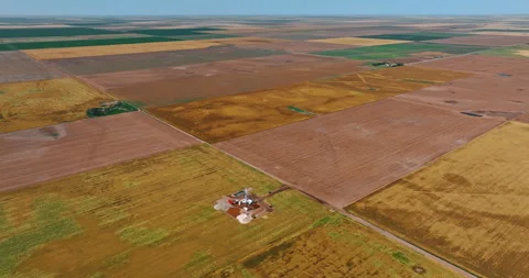 Vast rectangular fields of different colors. 스톡 동영상 281374293