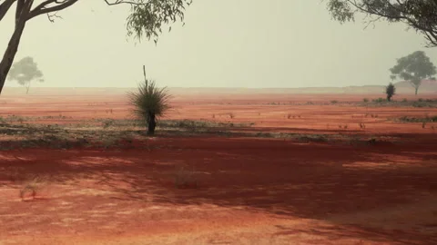 Vast red landscape with sparse vegetation in the Australian outback Видео 344099002