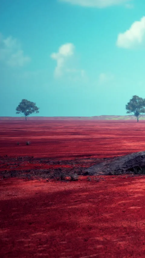 Vast red landscape with two trees under blue sky and white clouds Stock Footage 341266928