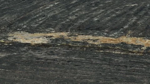 A vast rice fields covered in black ash after burning. Stock Footage 328292713