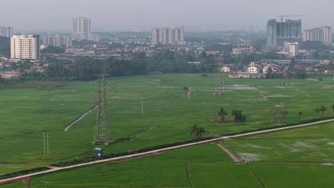 Vast rice paddies extend toward city buildings Video stock 339832619