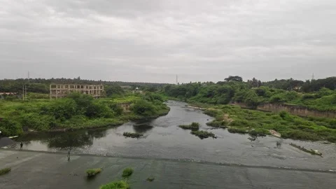 A vast river flows through lush greenery, showcasing monsoon beauty, sereni.. Vídeos de archivo 337042094