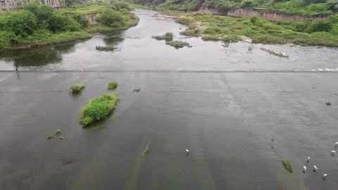 A vast river flows through lush greenery, showcasing monsoon beauty, sereni.. Stock Footage 337042188