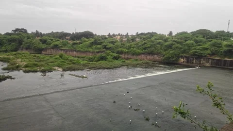 A vast river flows through lush greenery, showcasing monsoon beauty, sereni.. Vídeos de archivo 337042194