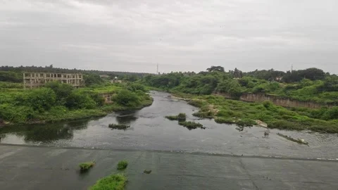 A vast river flows through lush greenery, showcasing monsoon beauty, sereni.. Stock Footage 337042204