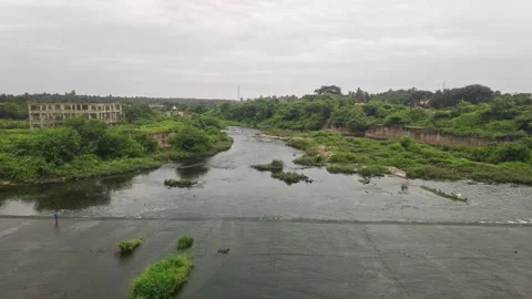 A vast river flows through lush greenery, showcasing monsoon beauty, sereni.. Stock Footage 337042215