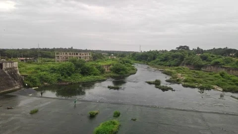 A vast river flows through lush greenery, showcasing monsoon beauty, sereni.. Stock Footage 337042546