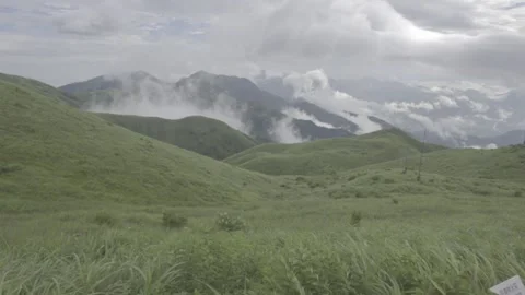 Vast Sea of Clouds from Meadow Overlook Stock-Footage 343666282