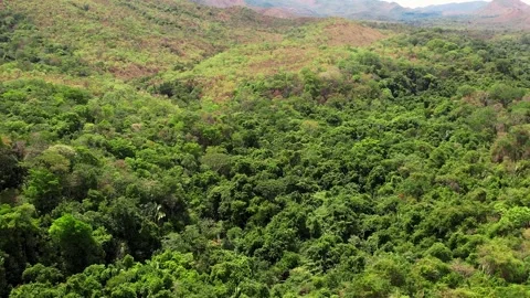 Vast Semideciduous Dry Forest toward Distant Low Mountains in Goias Brazil Vidéo 349054597