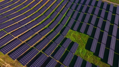 Vast solar panel array captures the sun's energy in a green landscape under Stock-Footage 331940713