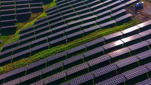 Vast solar panel array captures sunlight in a lush green landscape during a 動画素材 335355810