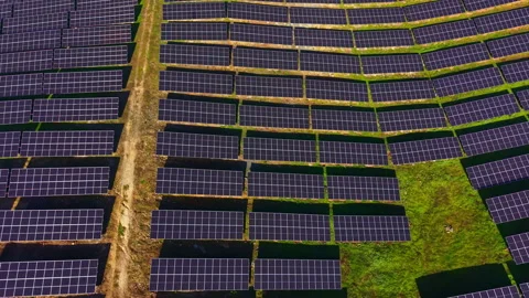 Vast solar panel array stretches across the lush green landscape capturing Stock Footage 331267928