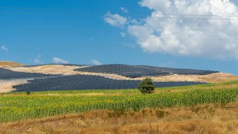 Vast solar panel farm generating clean energy in a dry, arid landscape Foto stock