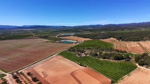 Vast Spanish agricultural landscape with patchwork farmland, citrus orchards Stock Footage 333548114