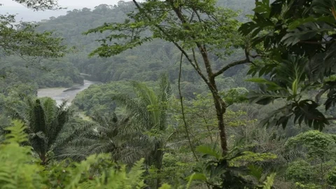 Vast swamp at the mountain 스톡 동영상 76400080