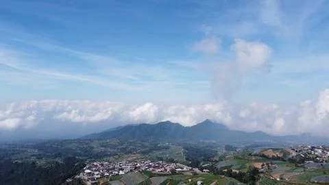 Vast vegetable fields on the mountainside Foto stock