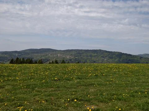 Vast verdant grassland under patterned cloud formations with calm and susta.. Stock Photos