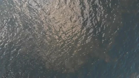 Vast water manatee algae sea grass fresh water waves tide aerial drone top Stock Footage 170826719