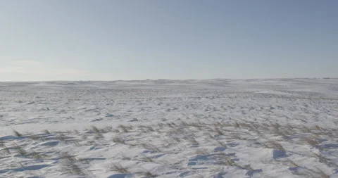 Vast windswept grassland in winter Stock Footage 332378694