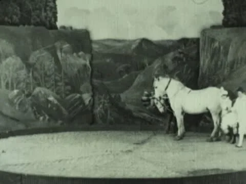 VAUDEVILLE HORSE ACT 2 Stock Footage 22113155