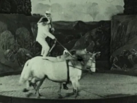 VAUDEVILLE HORSE ACT  Stock Footage 22113154
