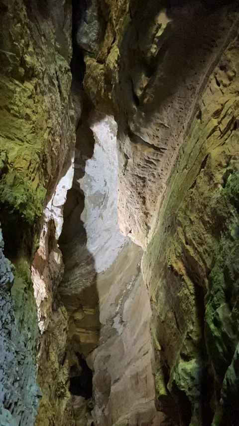 Vault of the Bramabiau chasm in the Cévennes Stock Footage 345361265