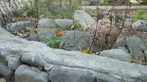 A vaze on the ground Stock Footage 119105157