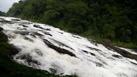 Vazhachal waterfall  스톡 동영상 83574532