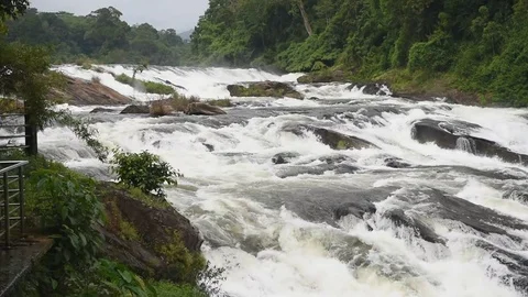 Vazhachal waterfall  스톡 동영상 83574873